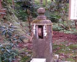 You can take blessings from Nyorai Buddha and Amida Nyorai statue. There is also a gosho-gurumo wheel while walking to the shrine. It is believed that